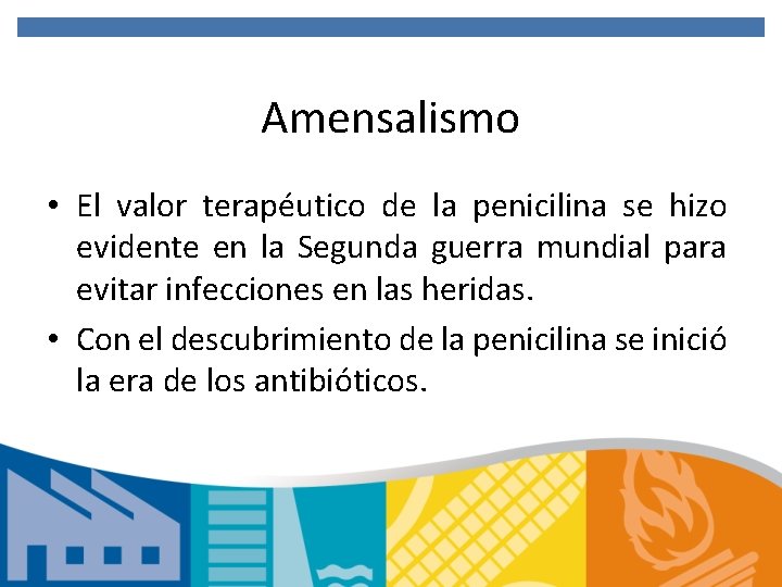 Amensalismo • El valor terapéutico de la penicilina se hizo evidente en la Segunda