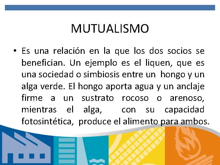 MUTUALISMO • Es una relación en la que los dos socios se benefician. Un