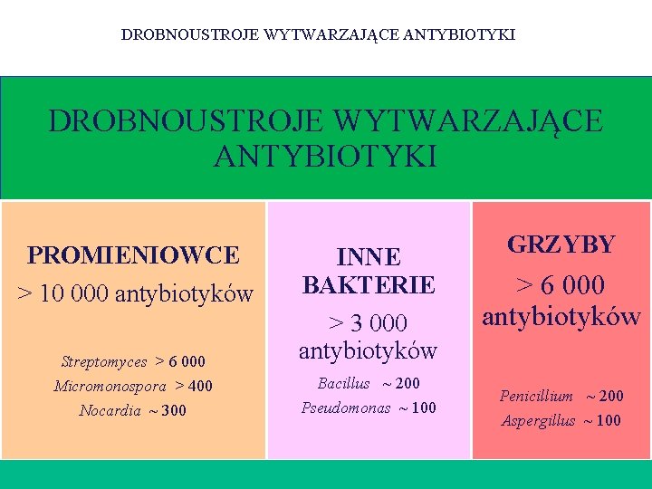 DROBNOUSTROJE WYTWARZAJĄCE ANTYBIOTYKI PROMIENIOWCE > 10 000 antybiotyków Streptomyces > 6 000 Micromonospora >