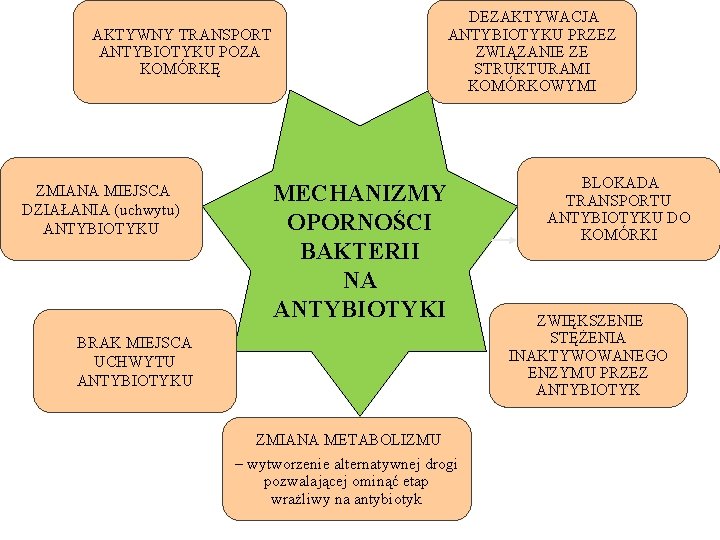 DEZAKTYWACJA ANTYBIOTYKU PRZEZ ZWIĄZANIE ZE STRUKTURAMI KOMÓRKOWYMI AKTYWNY TRANSPORT ANTYBIOTYKU POZA KOMÓRKĘ ZMIANA MIEJSCA