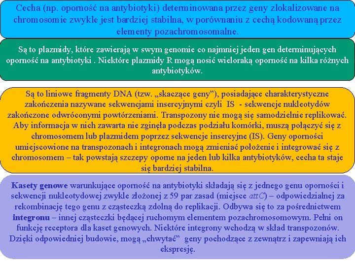 Cecha (np. oporność na antybiotyki) determinowana przez geny zlokalizowane na chromosomie zwykle jest bardziej