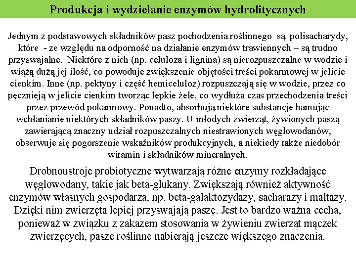 Produkcja i wydzielanie enzymów hydrolitycznych Jednym z podstawowych składników pasz pochodzenia roślinnego są polisacharydy,