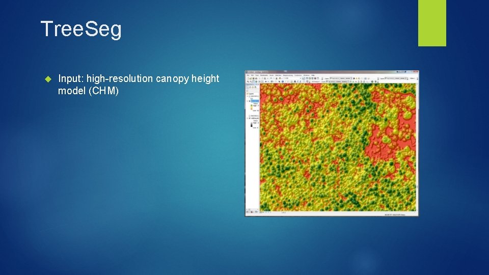 Tree. Seg Input: high-resolution canopy height model (CHM) 