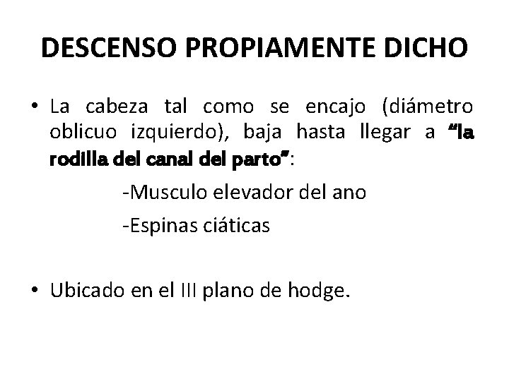 DESCENSO PROPIAMENTE DICHO • La cabeza tal como se encajo (diámetro oblicuo izquierdo), baja