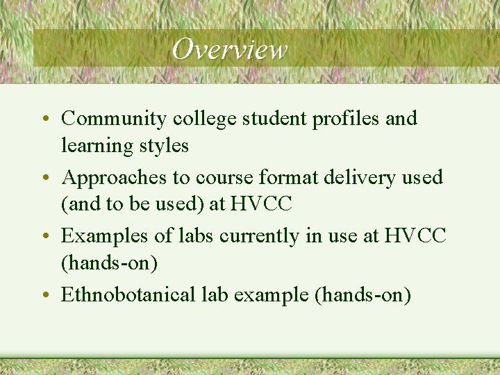 Overview • Community college student profiles and learning styles • Approaches to course format