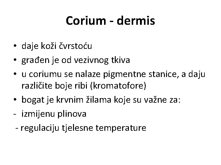 Corium - dermis • daje koži čvrstoću • građen je od vezivnog tkiva •