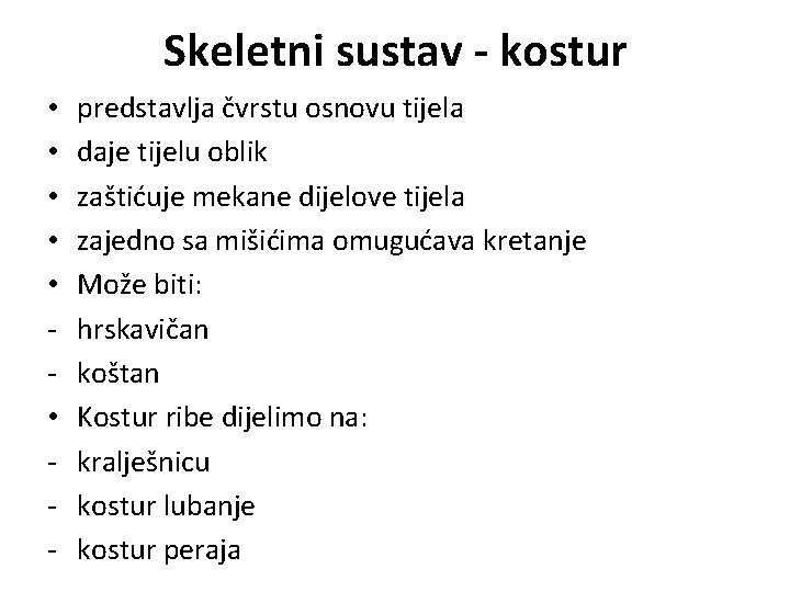 Skeletni sustav - kostur • • • - predstavlja čvrstu osnovu tijela daje tijelu