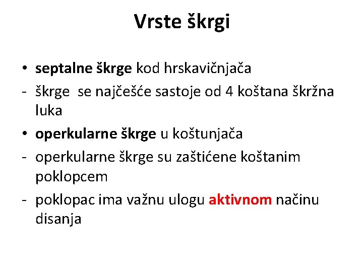 Vrste škrgi • septalne škrge kod hrskavičnjača - škrge se najčešće sastoje od 4