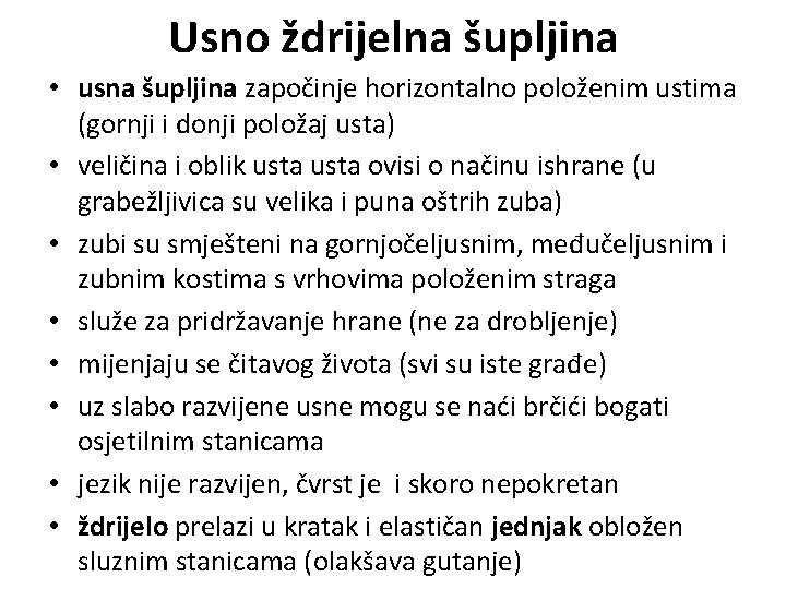 Usno ždrijelna šupljina • usna šupljina započinje horizontalno položenim ustima (gornji i donji položaj