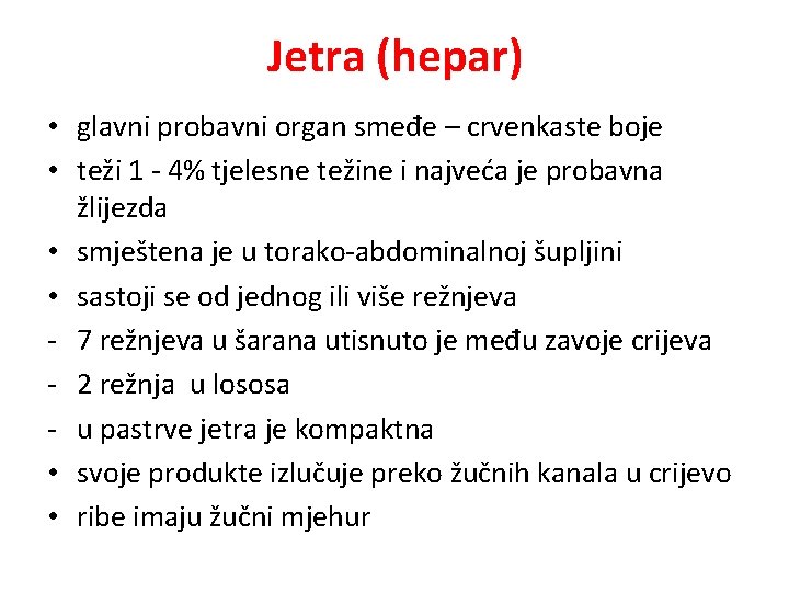 Jetra (hepar) • glavni probavni organ smeđe – crvenkaste boje • teži 1 -