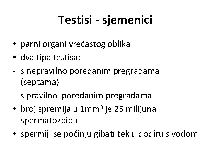 Testisi - sjemenici • parni organi vrećastog oblika • dva tipa testisa: - s