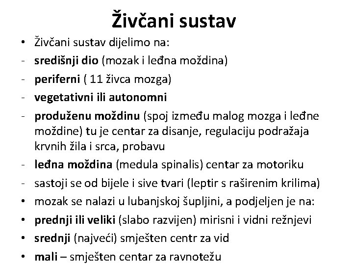 Živčani sustav • - • • Živčani sustav dijelimo na: središnji dio (mozak i