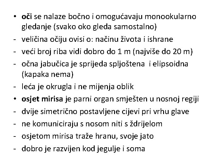  • oči se nalaze bočno i omogućavaju monookularno gledanje (svako oko gleda samostalno)