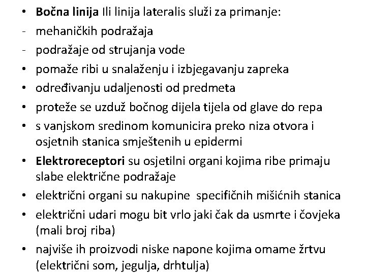  • • • Bočna linija Ili linija lateralis služi za primanje: mehaničkih podražaja