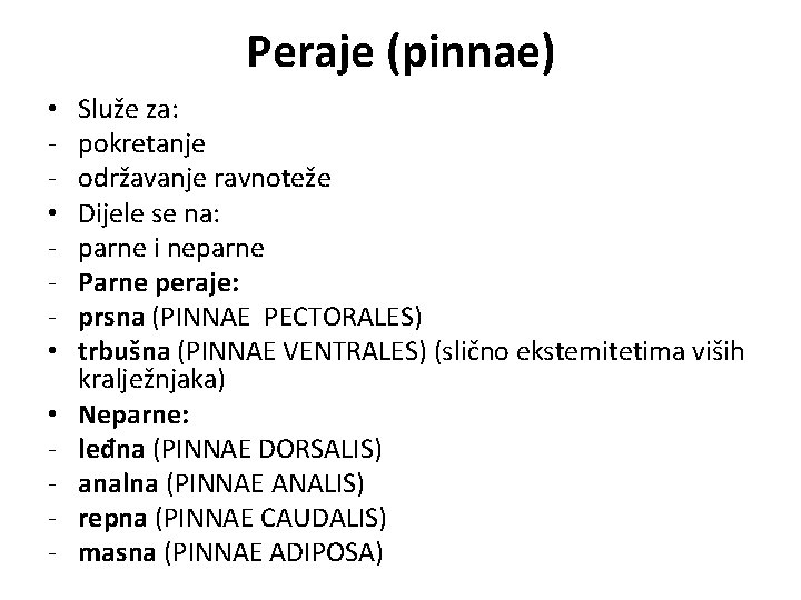 Peraje (pinnae) • • - Služe za: pokretanje održavanje ravnoteže Dijele se na: parne