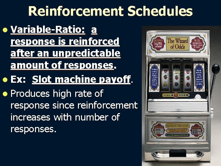 Reinforcement Schedules l Variable-Ratio: a response is reinforced after an unpredictable amount of responses.