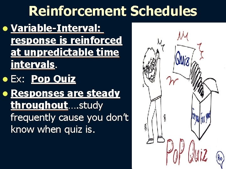 Reinforcement Schedules l Variable-Interval: response is reinforced at unpredictable time intervals. l Ex: Pop