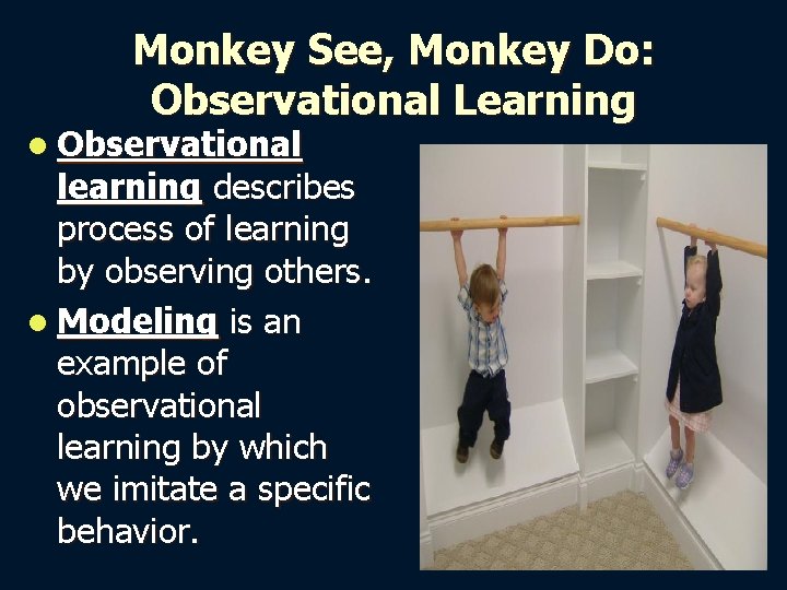 Monkey See, Monkey Do: Observational Learning l Observational learning describes process of learning by