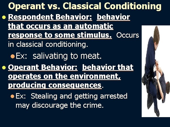 Operant vs. Classical Conditioning l Respondent Behavior: behavior that occurs as an automatic response