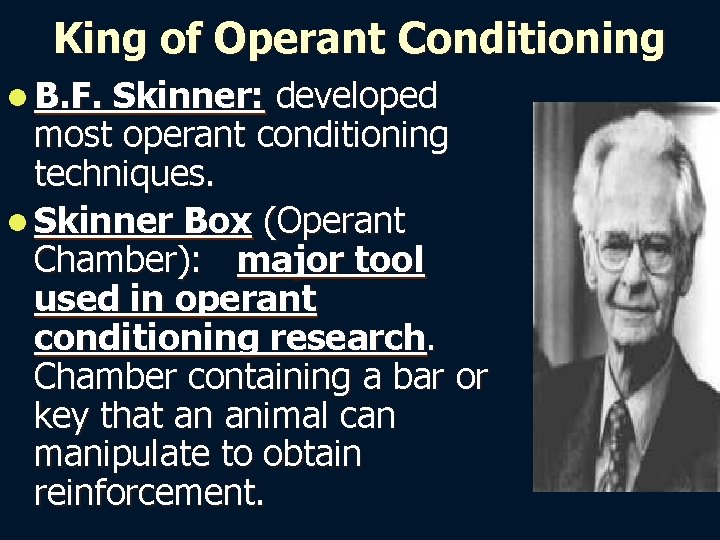 King of Operant Conditioning l B. F. Skinner: developed most operant conditioning techniques. l