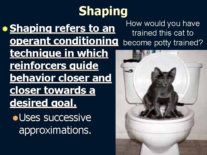 Shaping l Shaping refers to an operant conditioning technique in which reinforcers guide behavior