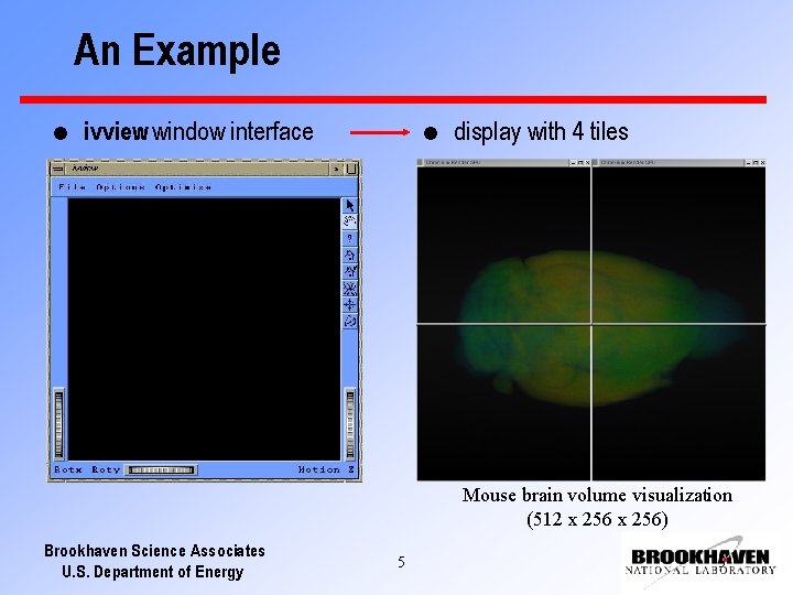 An Example l ivview window interface l display with 4 tiles Mouse brain volume