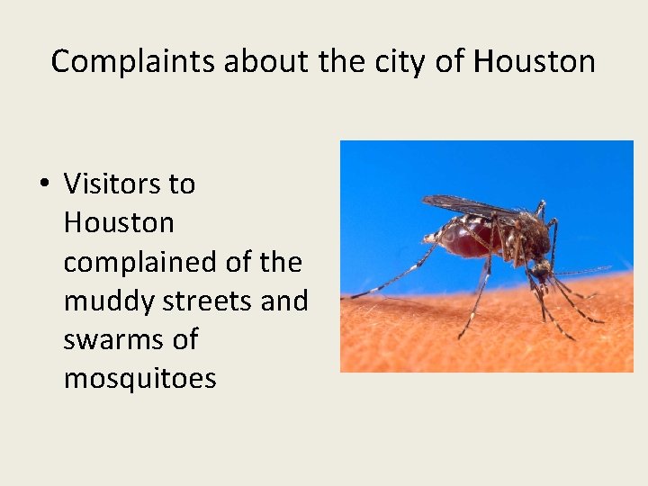 Complaints about the city of Houston • Visitors to Houston complained of the muddy