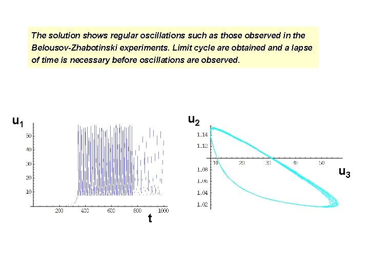 The solution shows regular oscillations such as those observed in the Belousov-Zhabotinski experiments. Limit