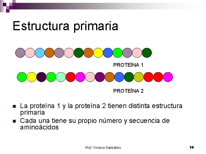 Estructura primaria PROTEÍNA 1 PROTEÍNA 2 n n La proteína 1 y la proteína