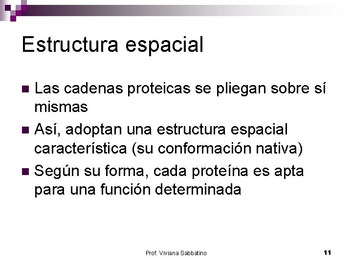 Estructura espacial Las cadenas proteicas se pliegan sobre sí mismas n Así, adoptan una