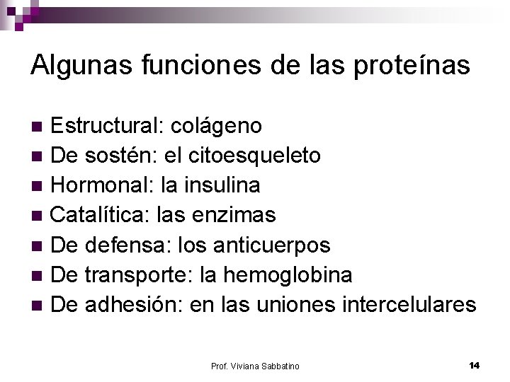 Algunas funciones de las proteínas Estructural: colágeno n De sostén: el citoesqueleto n Hormonal: