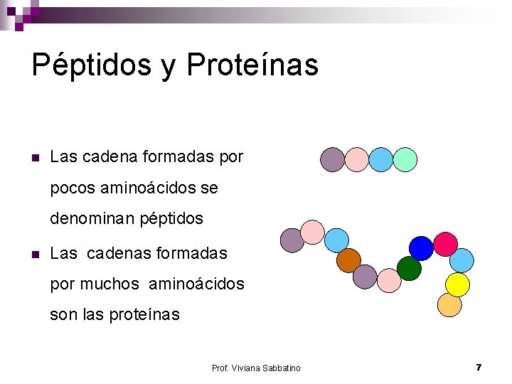 Péptidos y Proteínas n Las cadena formadas por pocos aminoácidos se denominan péptidos n