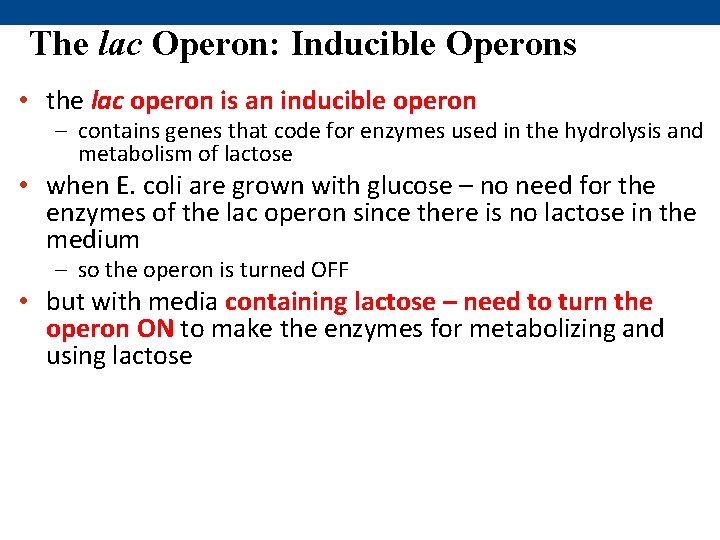 The lac Operon: Inducible Operons • the lac operon is an inducible operon –