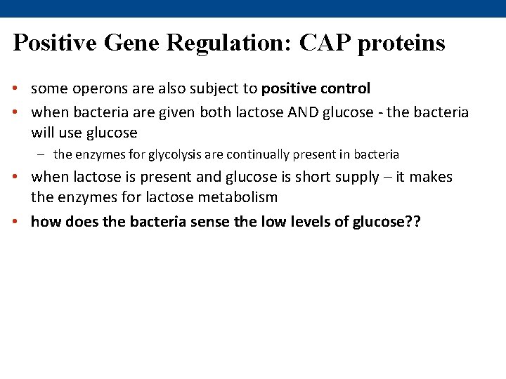 Positive Gene Regulation: CAP proteins • some operons are also subject to positive control