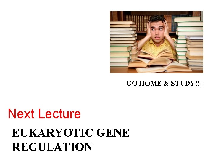 GO HOME & STUDY!!! Next Lecture EUKARYOTIC GENE REGULATION 