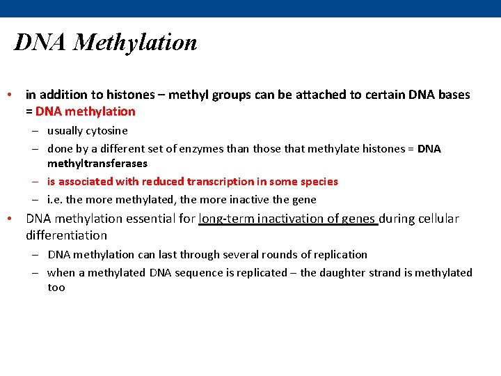 DNA Methylation • in addition to histones – methyl groups can be attached to