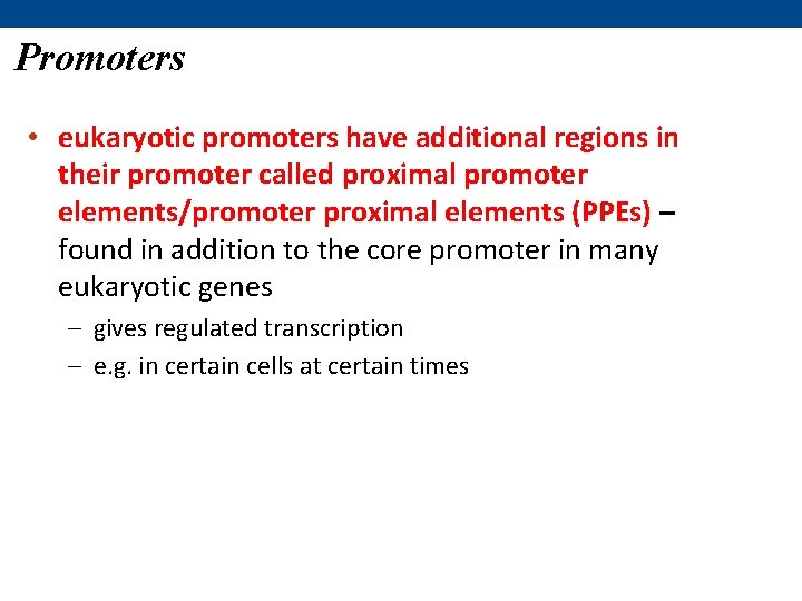 Promoters • eukaryotic promoters have additional regions in their promoter called proximal promoter elements/promoter