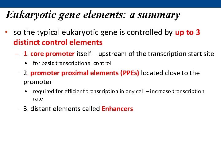 Eukaryotic gene elements: a summary • so the typical eukaryotic gene is controlled by