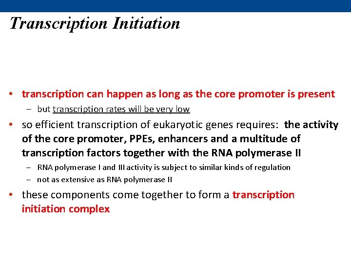 Transcription Initiation • transcription can happen as long as the core promoter is present