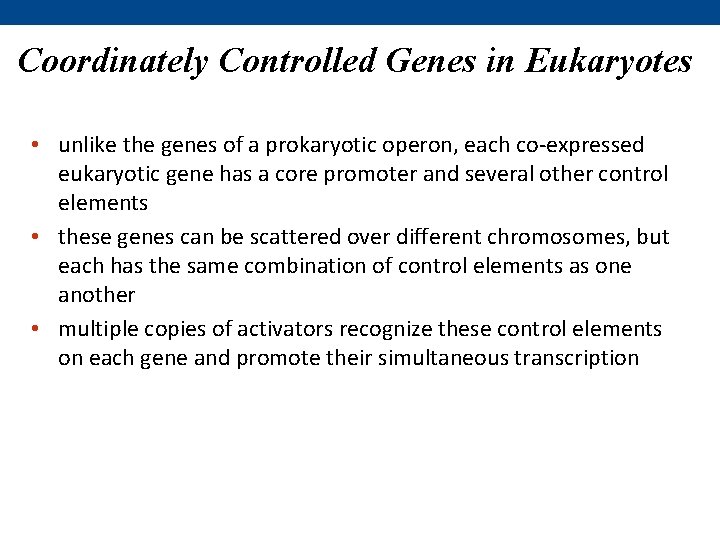 Coordinately Controlled Genes in Eukaryotes • unlike the genes of a prokaryotic operon, each