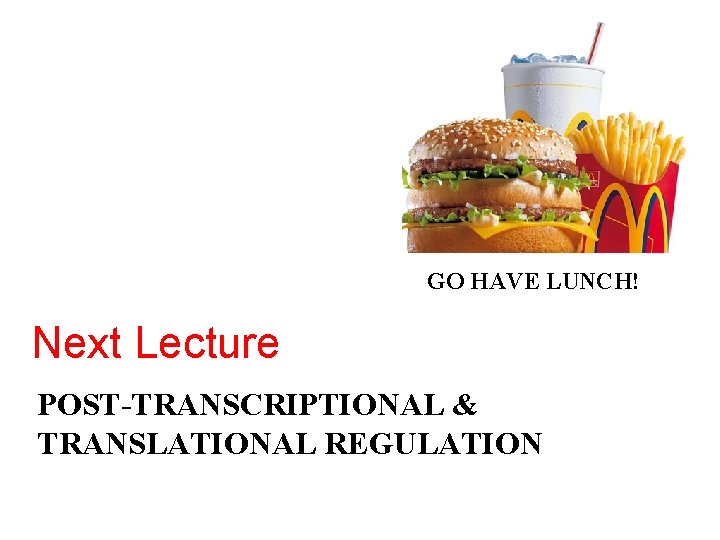 GO HAVE LUNCH! Next Lecture POST-TRANSCRIPTIONAL & TRANSLATIONAL REGULATION 