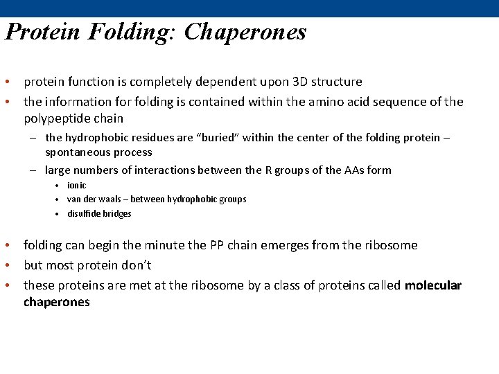 Protein Folding: Chaperones • protein function is completely dependent upon 3 D structure •