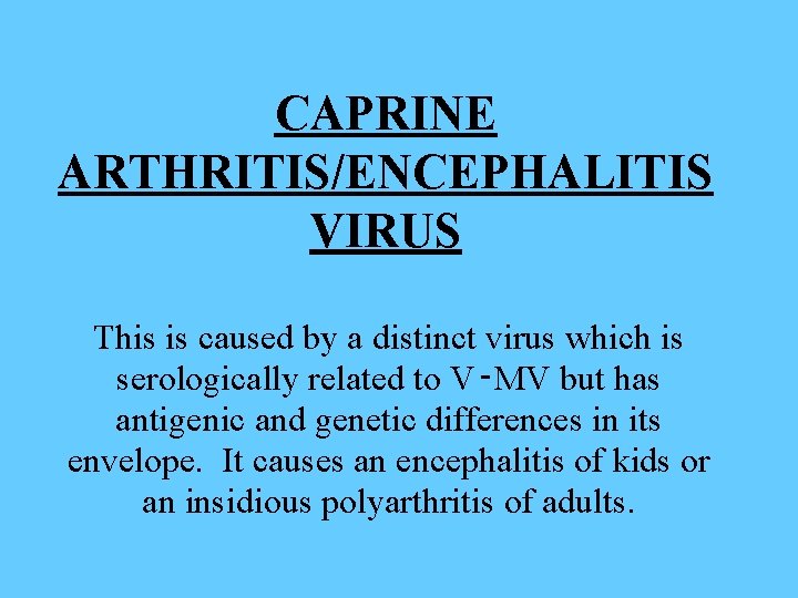 CAPRINE ARTHRITIS/ENCEPHALITIS VIRUS This is caused by a distinct virus which is serologically related