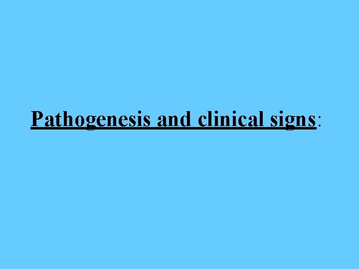 Pathogenesis and clinical signs: 