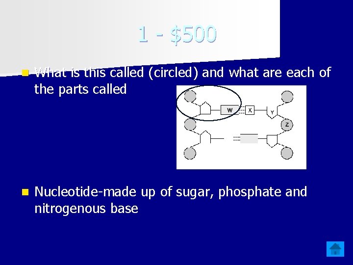 1 - $500 n What is this called (circled) and what are each of