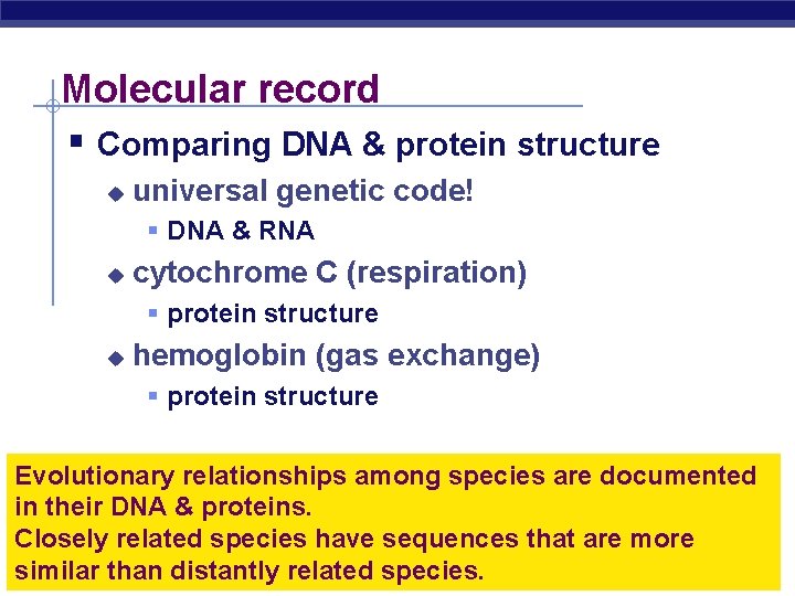 Molecular record § Comparing DNA & protein structure u universal genetic code! § DNA
