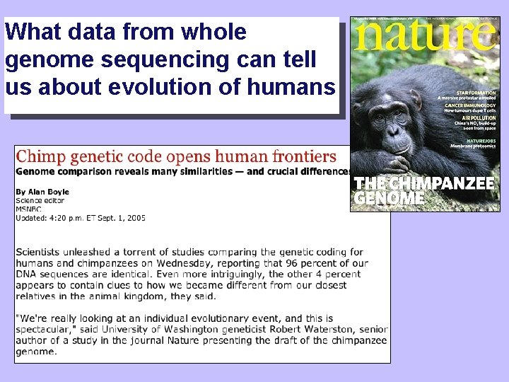 What data from whole genome sequencing can tell us about evolution of humans 