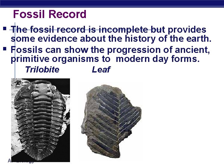 Fossil Record § The fossil record is incomplete but provides § some evidence about