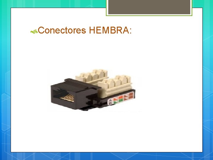 Conectores HEMBRA: 
