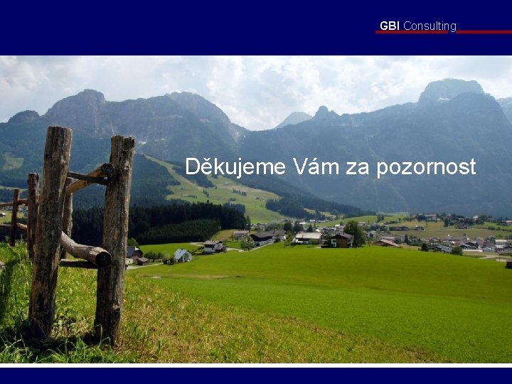 GBI Consulting Děkujeme Vám za pozornost 